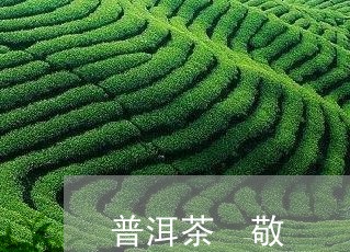 普洱茶 敬/2023090580896